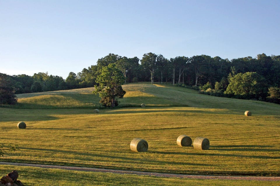 Hay making season on the farm