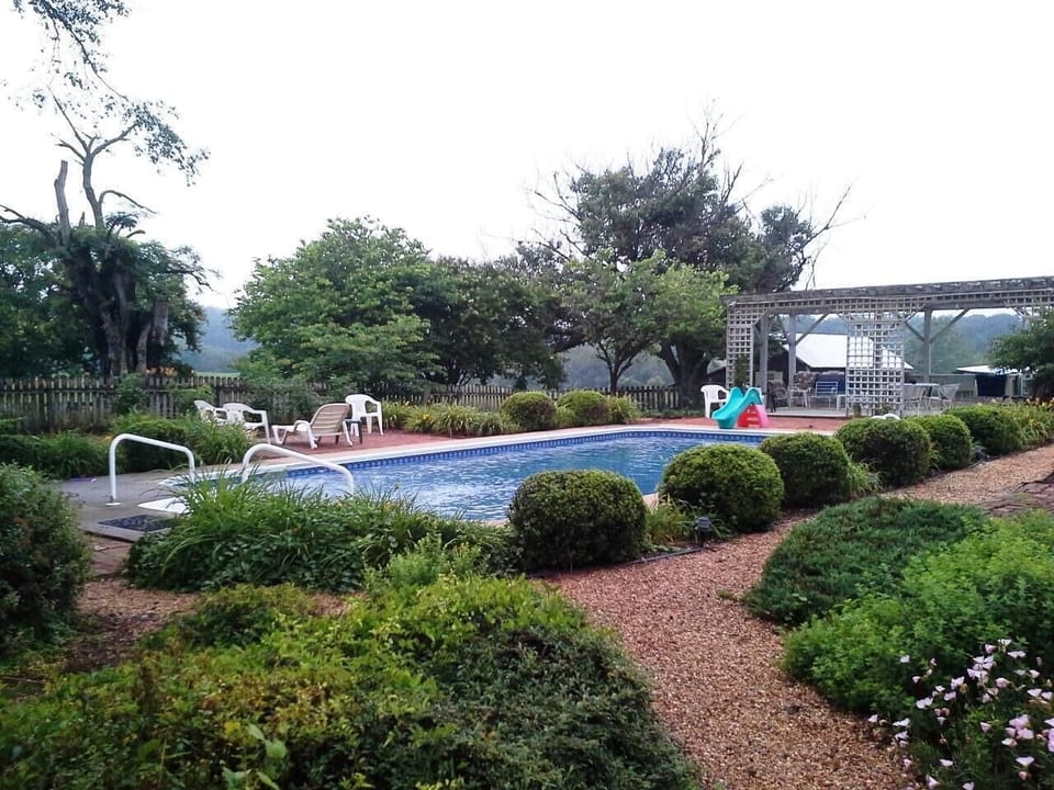 Estate's Salt Water Pool just waiting for you!