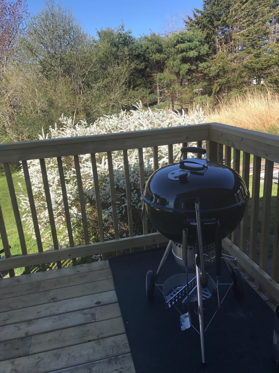 Weber charcoal grill