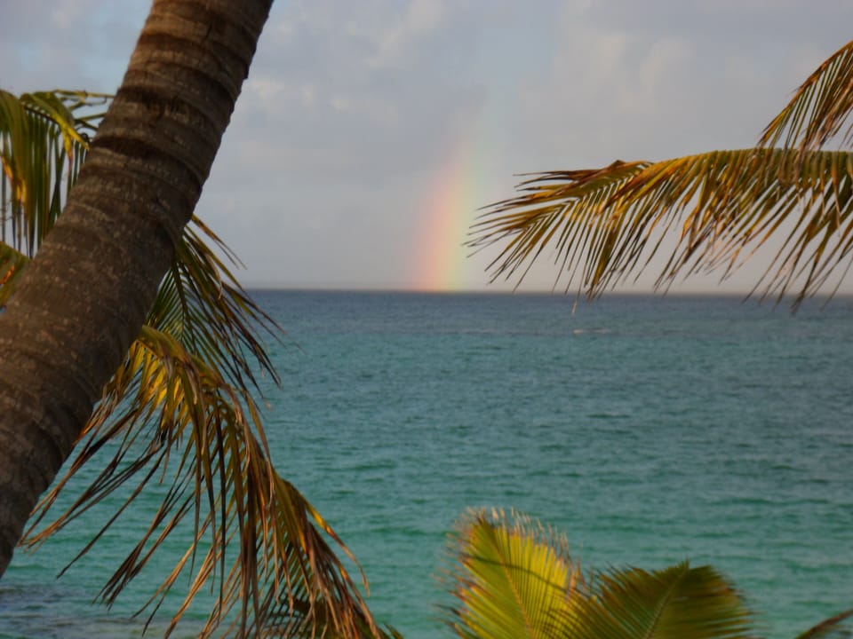 Da Villa, the pot of gold at the end of the rainbow!