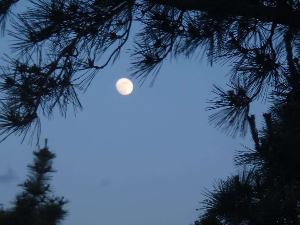 Star gaze or view the moon rise/set from the patio while listening to the waves