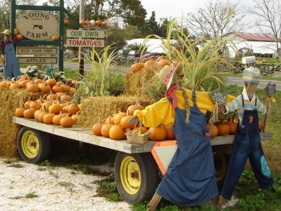 Young Farm on Rt 77 in Little Compton