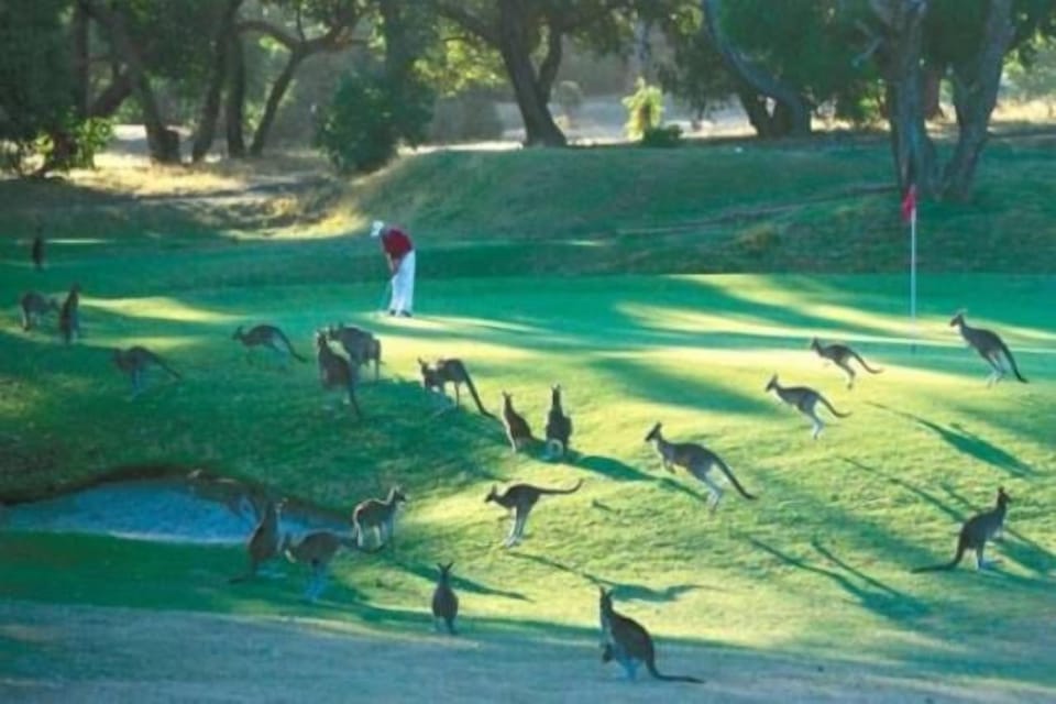 Golf