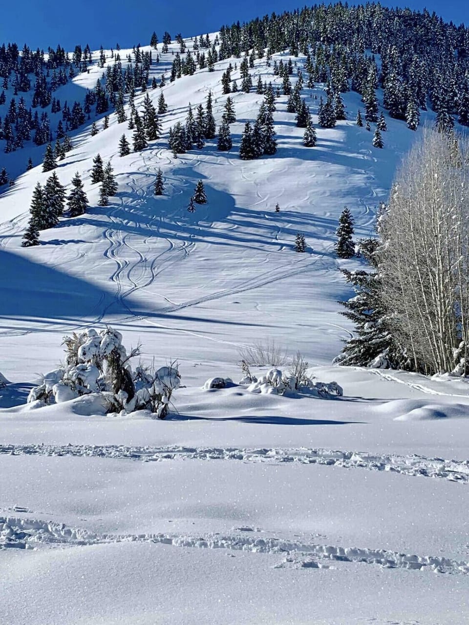 Sledding or backcountry skiing out the back door