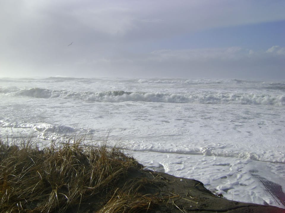 ANGREE OCEAN FROM  BEACH TRAIL