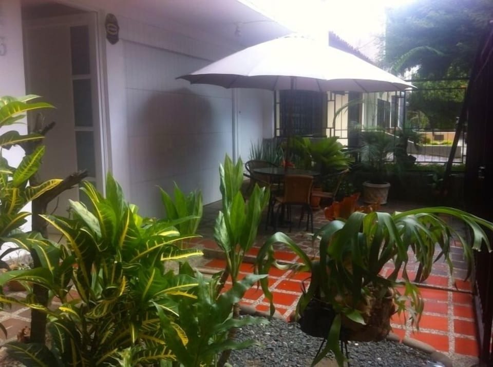 Tropical paradise! (in the city)