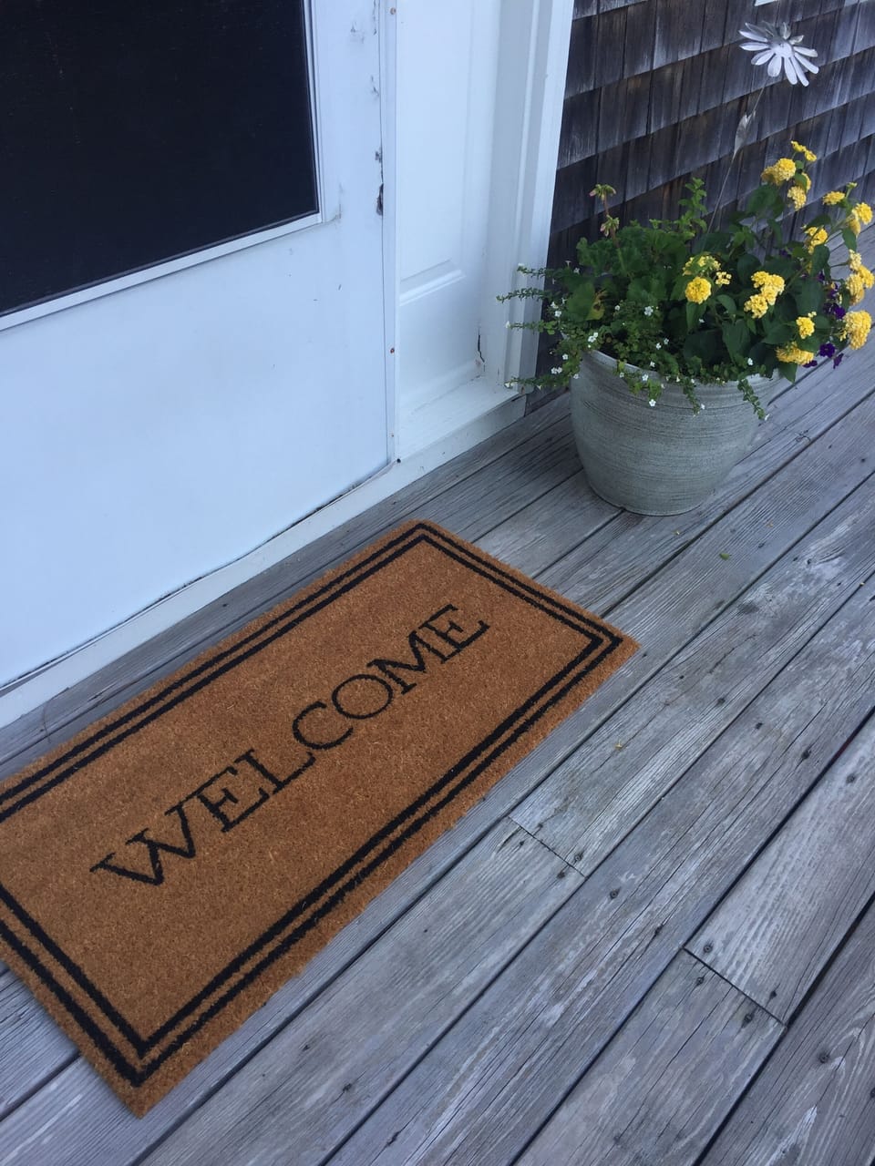 Welcome to the lake!
