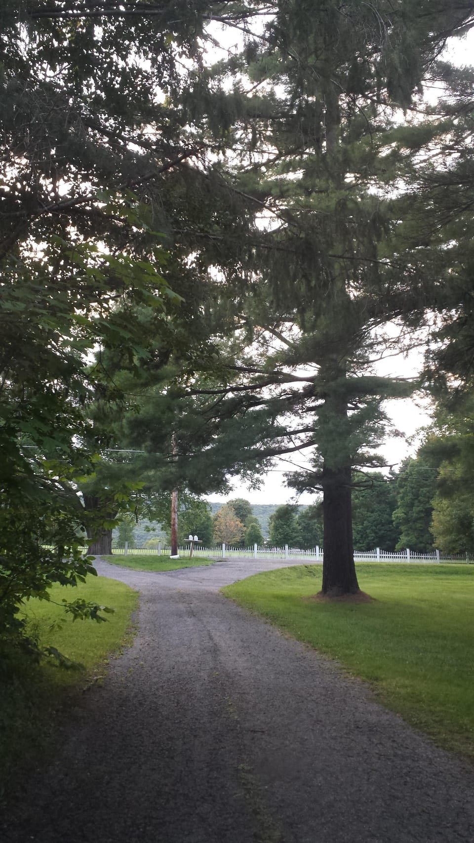 Driveway leading out to Interlaken Road
