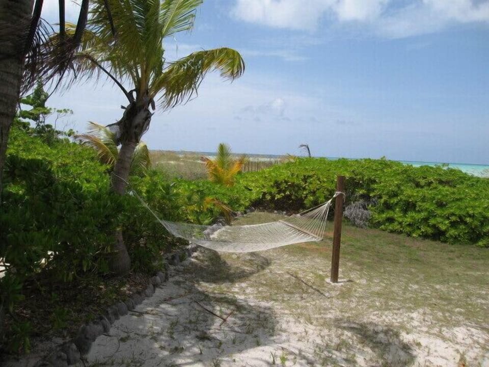 Relax in the hammock and read a book or take a nap.  You're on vacation!