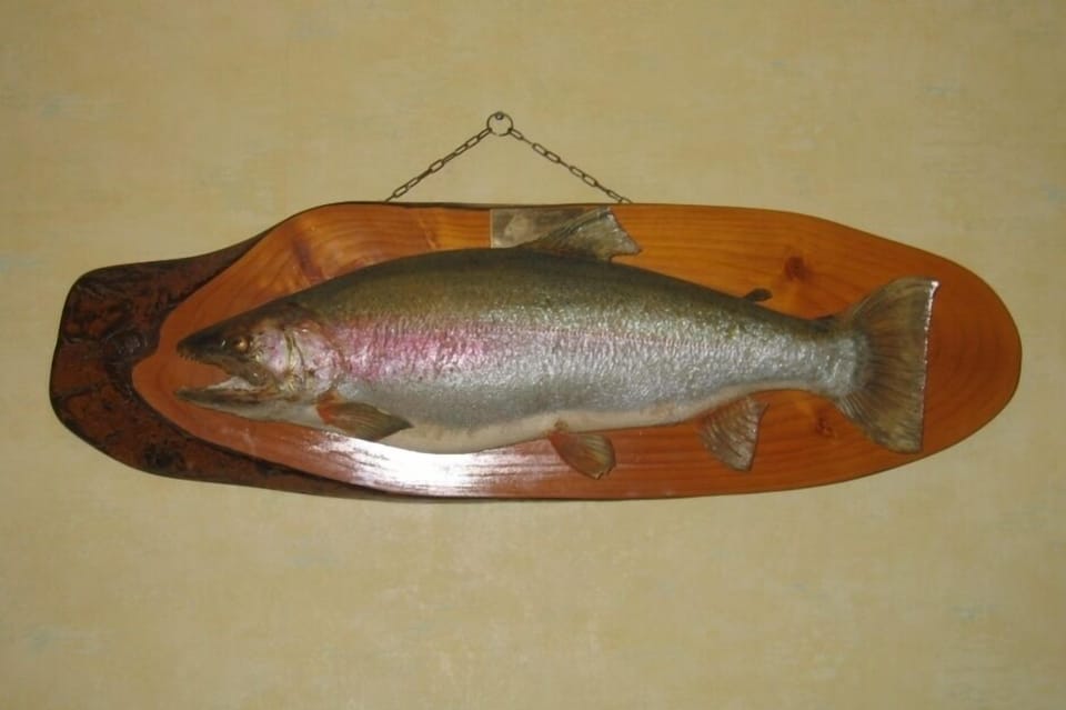 Trout Wall Hanging