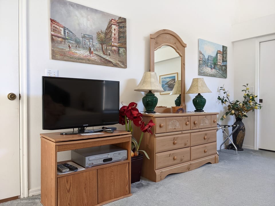 Master Bedroom TV