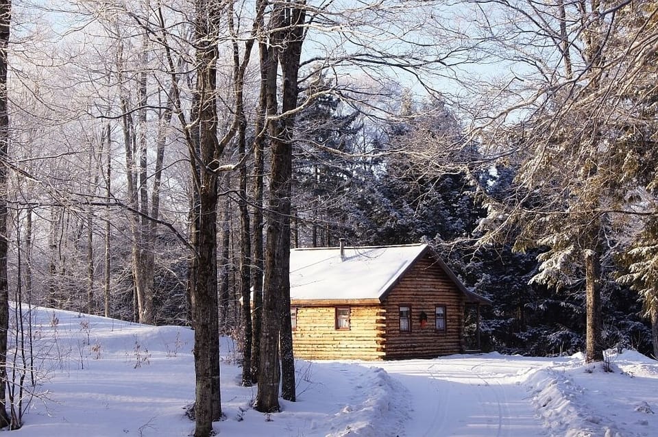 Little Cabin in the Woods, Birch meadow