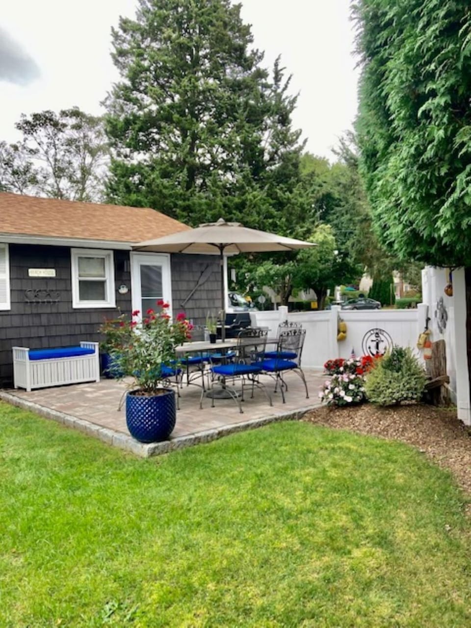 Patio / back yard
