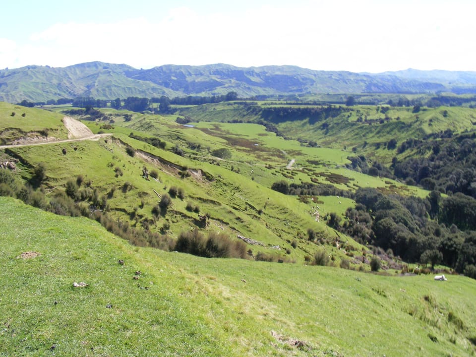 View from hill on farm