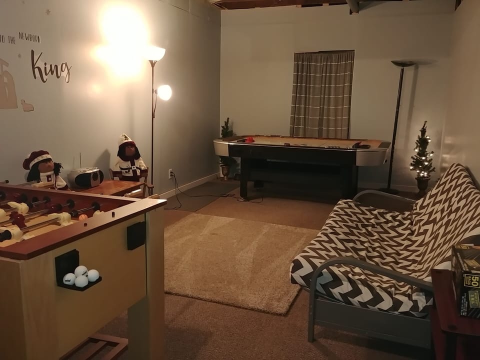 Game room with extra futon