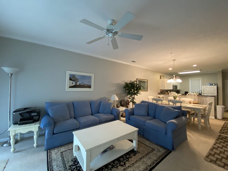 NEW Sony 65" 4K LCD TV and Blu-Ray DVD Player.  Queen Sleeper Sofa. 9' Ceilings.
