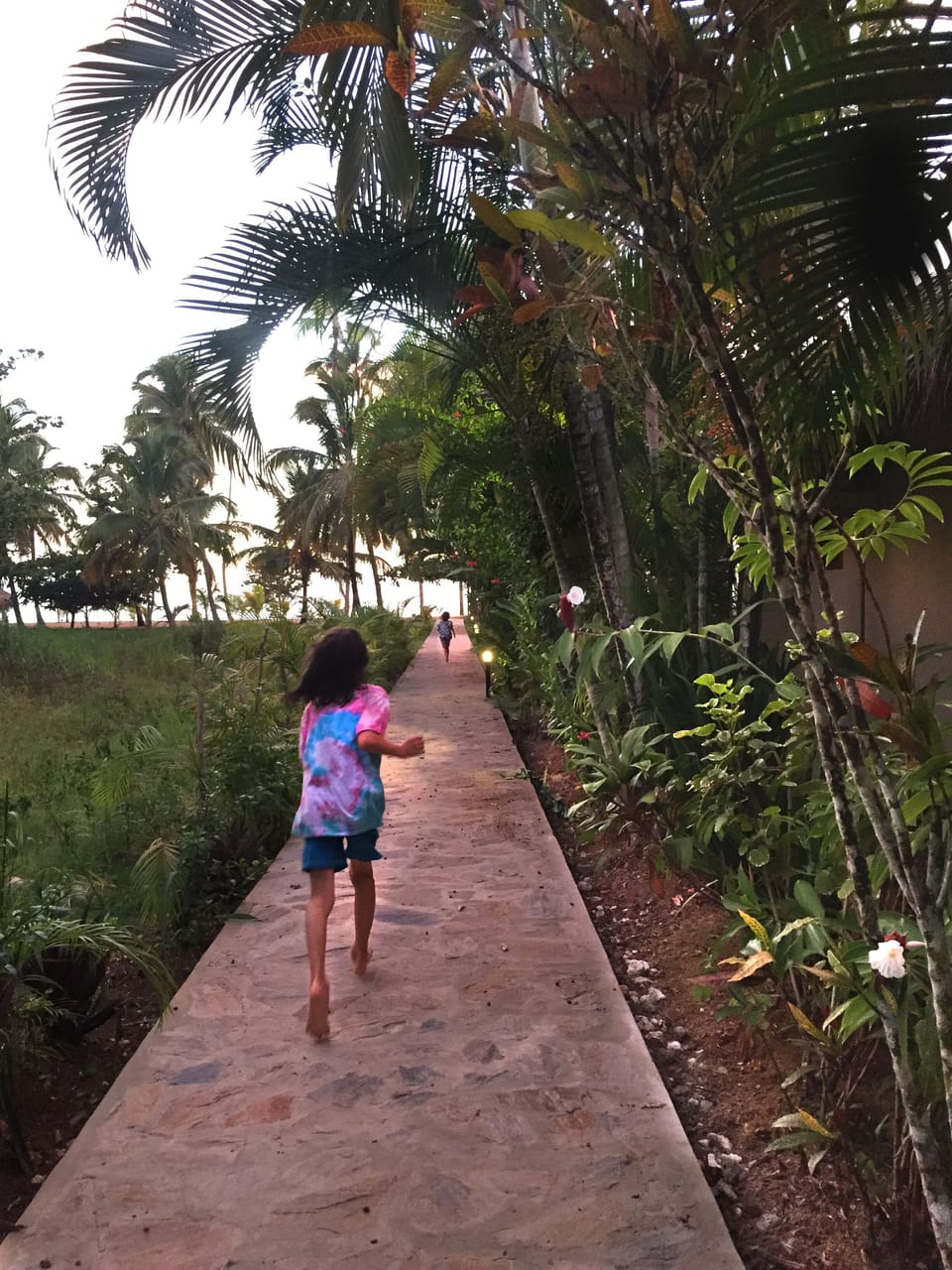 path to the beach (about 50 meters)