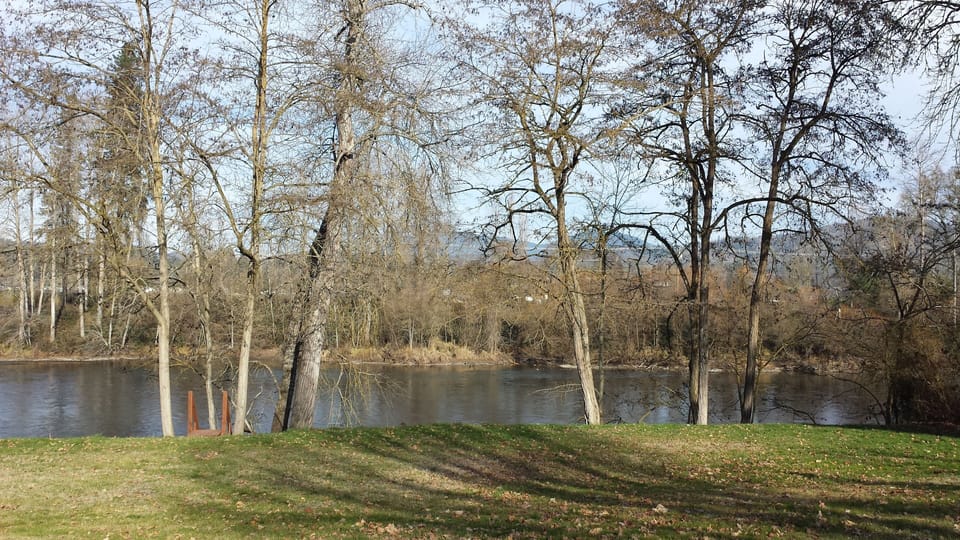 Winter view from house