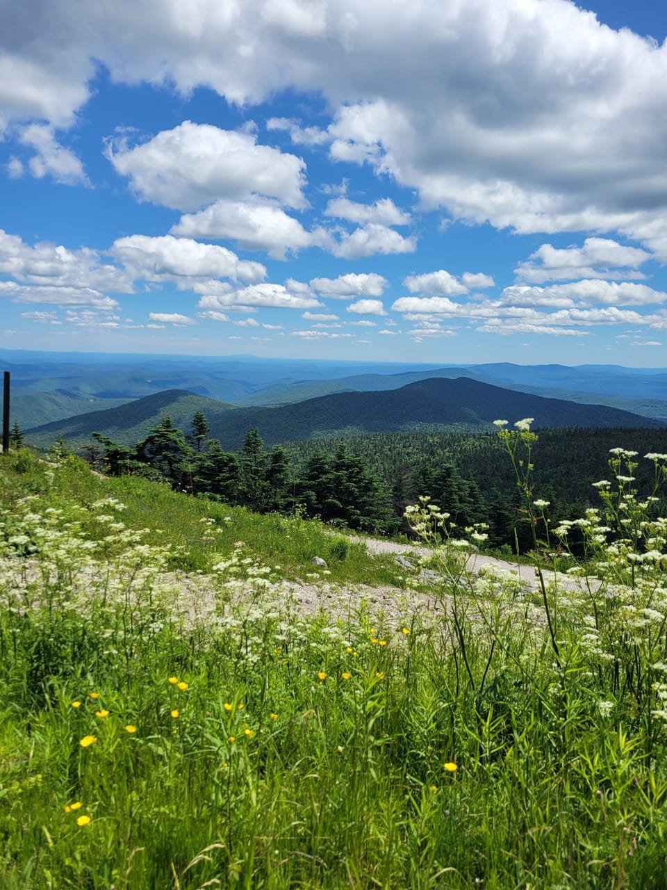 summer view from the peak