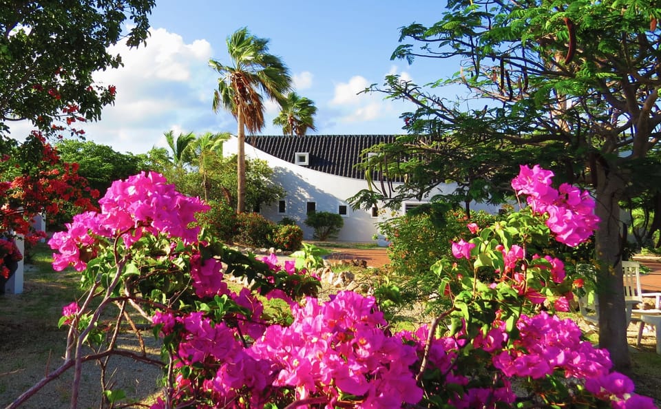 Lush garden on North side