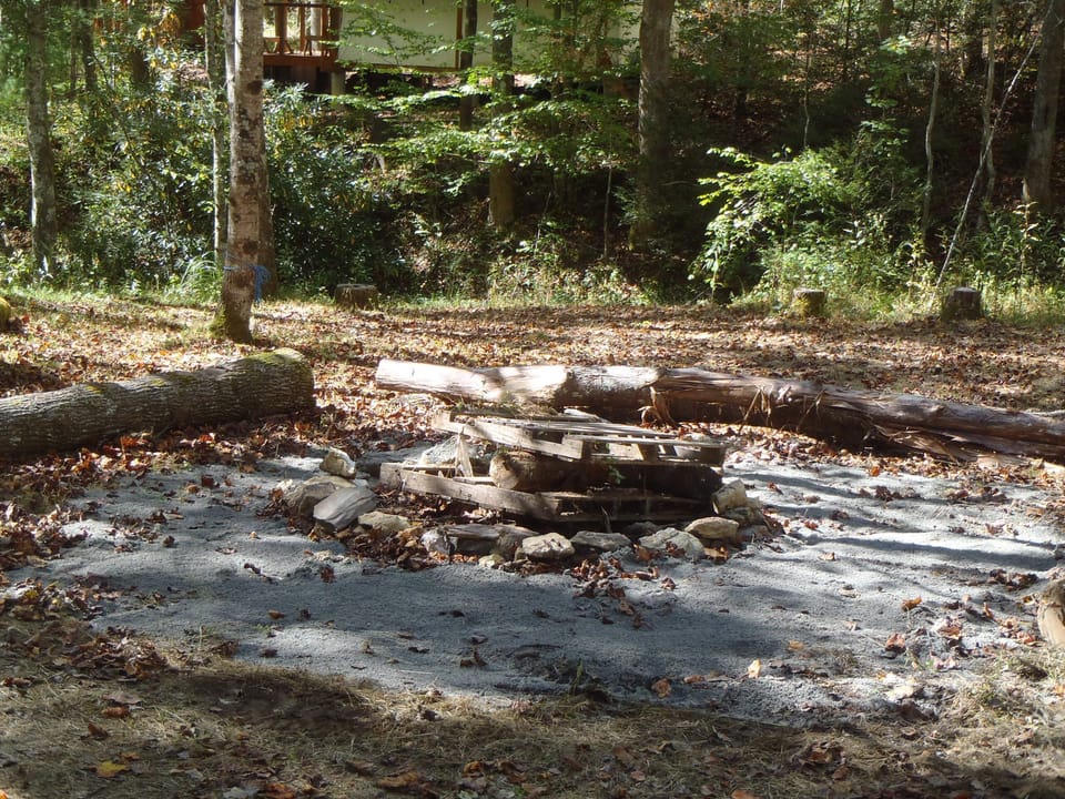 Camp in large open field across the creek or in one of the onsite cabins.