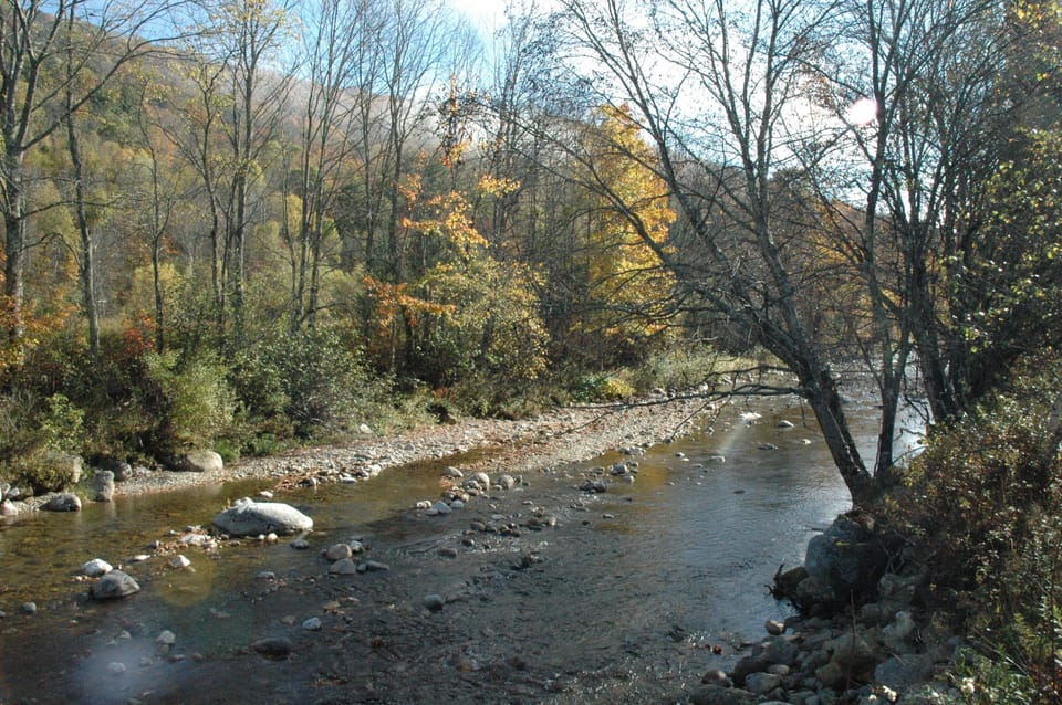 White River from property
