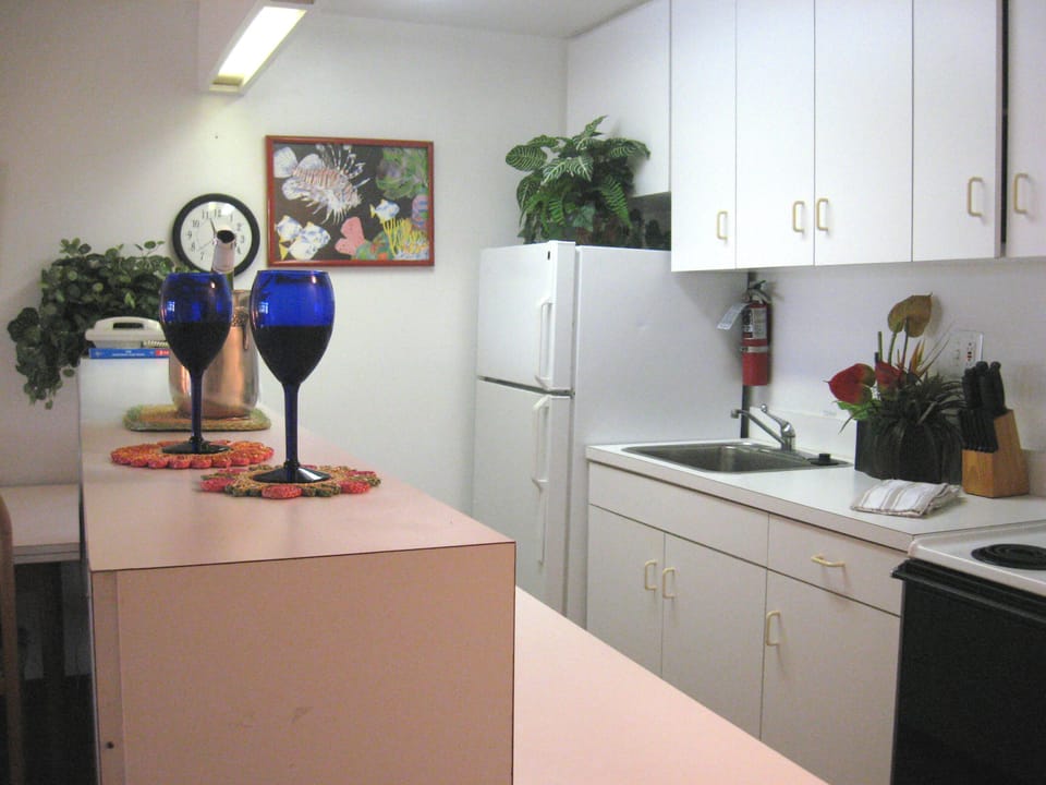 Roomy Kitchen