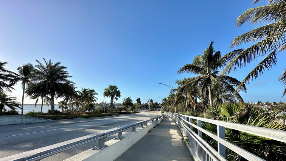 Palms, palms, palms give Marco that Island vibe!