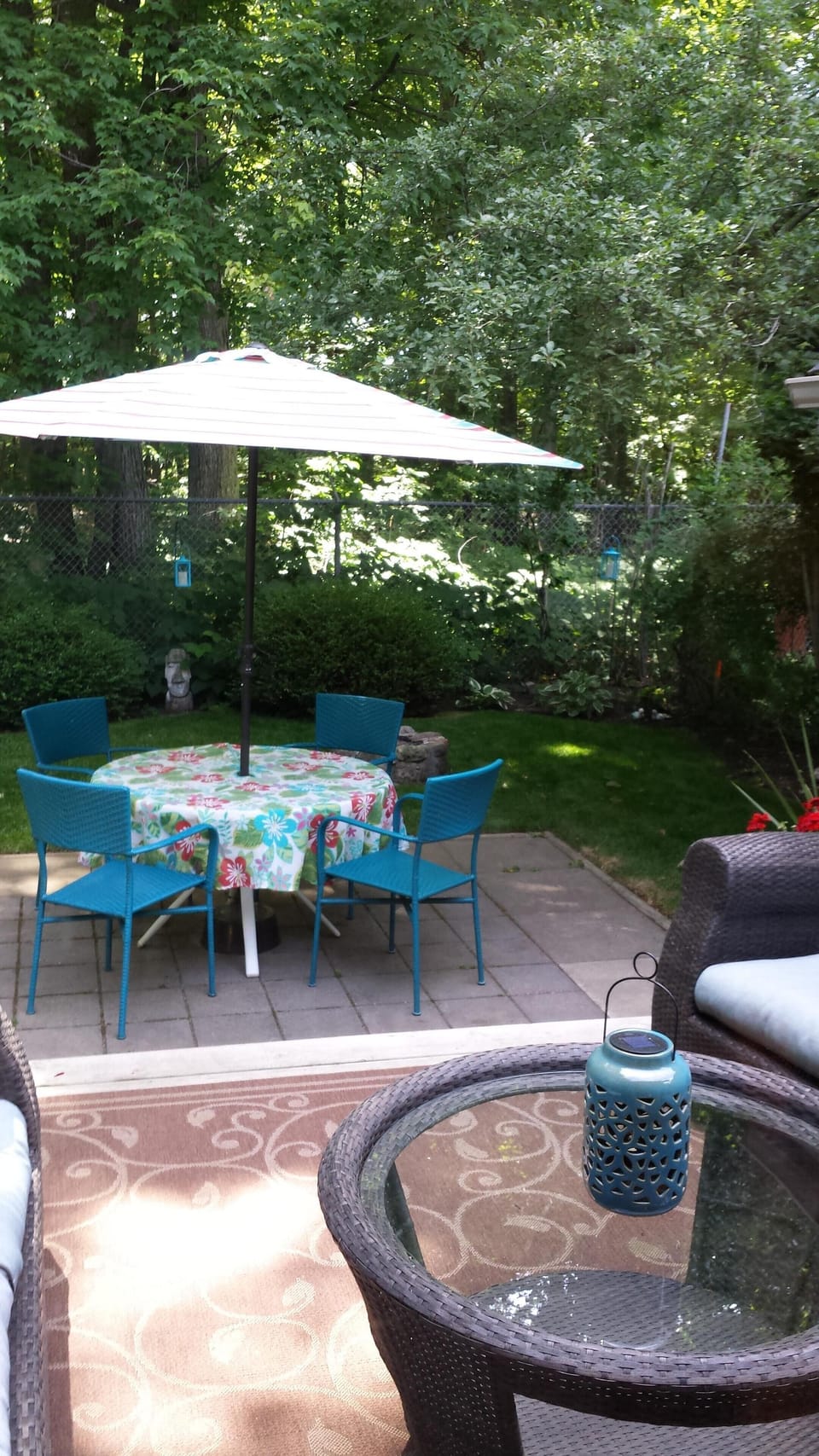 Yard backing onto Carolinian Forest. Bird watchers paradise !