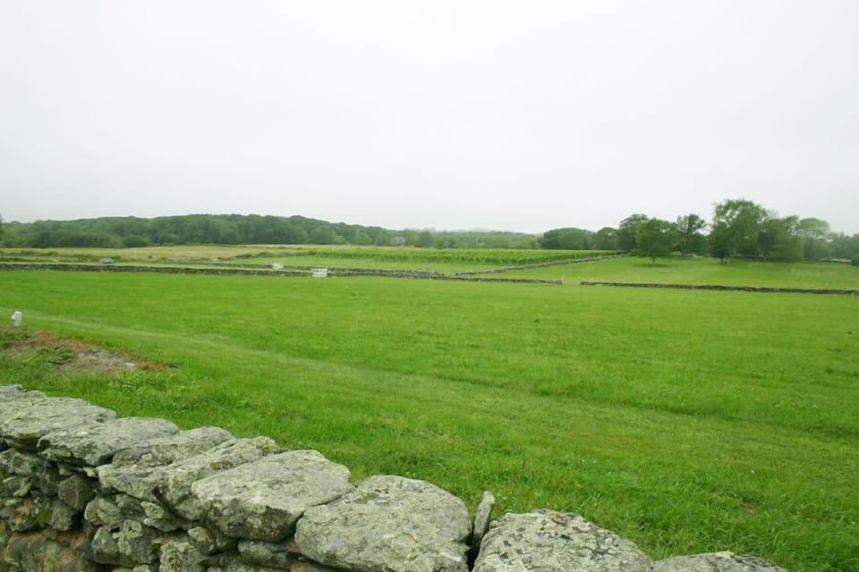 fields behind our house