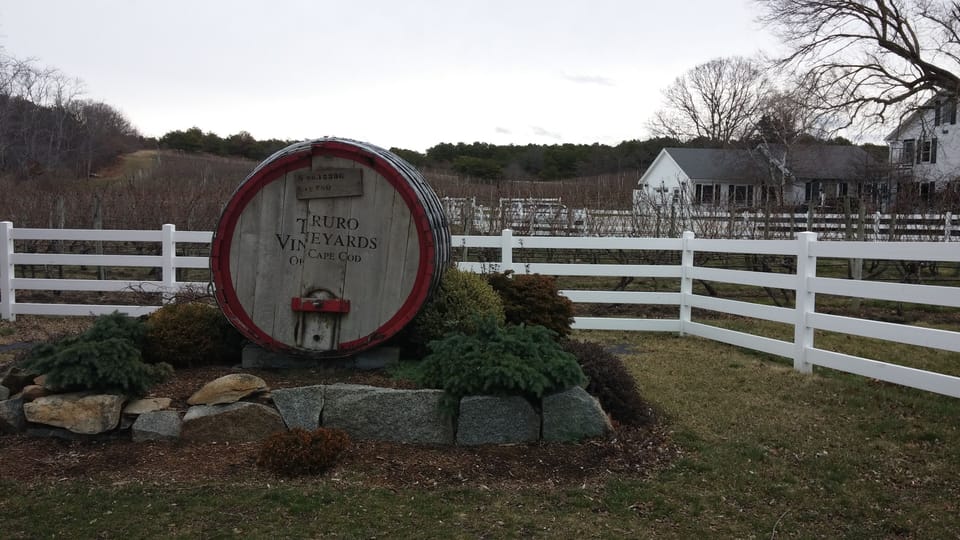 truro vineyard just up the road