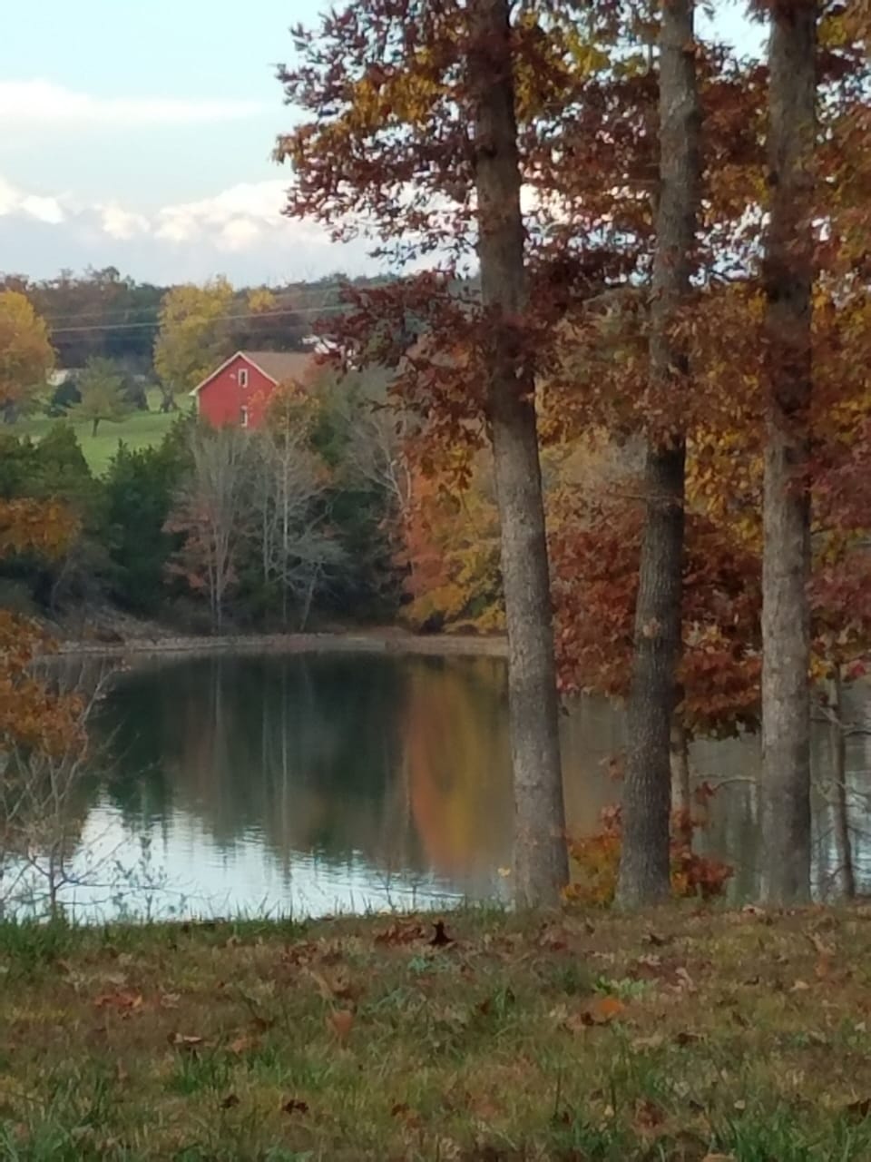 View from the screened porch in the fall