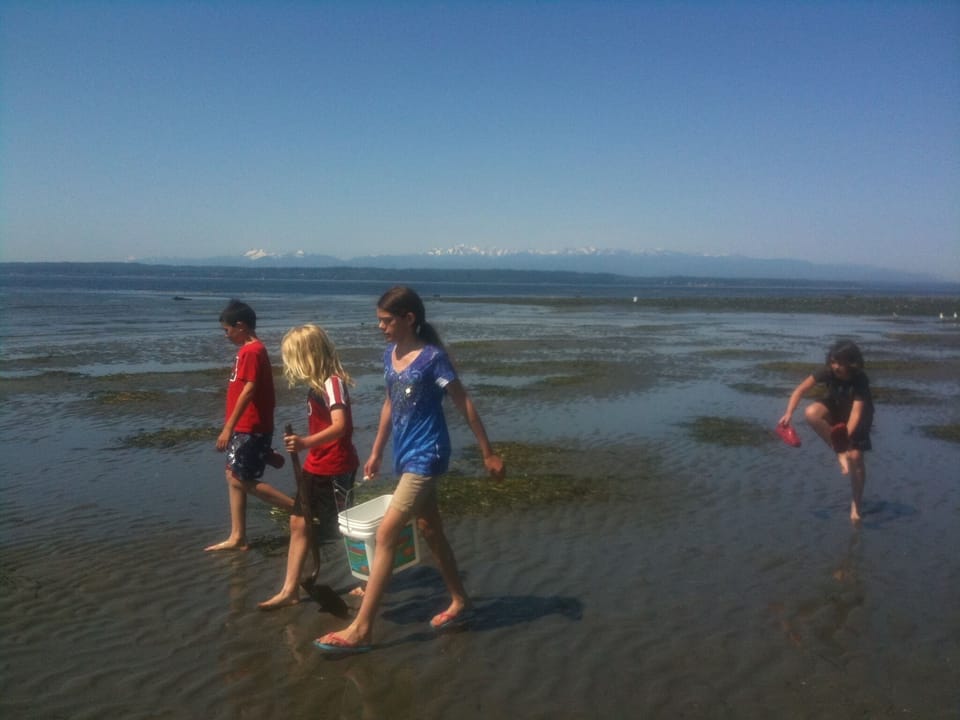 Beautiful sandy beach right in front of house
