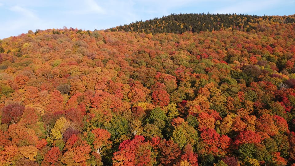 Behind house Fall 2023 