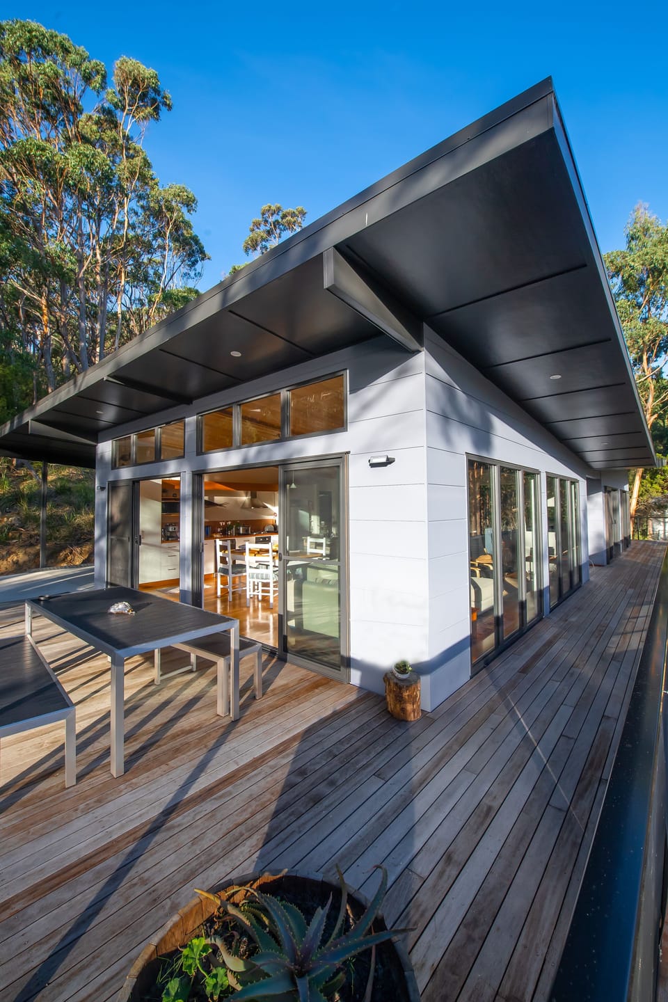 The house with its butterfly-wing roof and eucalypt colours floats in the forest