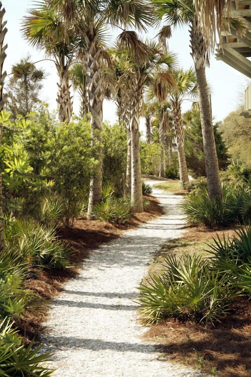 shell walkway 