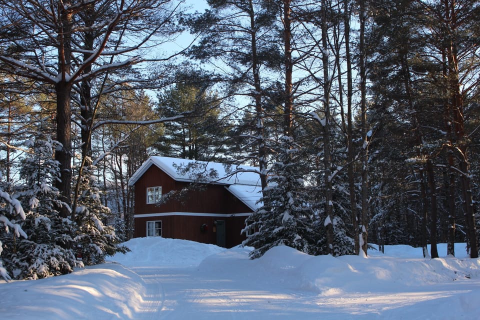 Winter has Arrived!