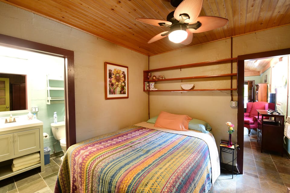The first bedroom, with a queen size bed.