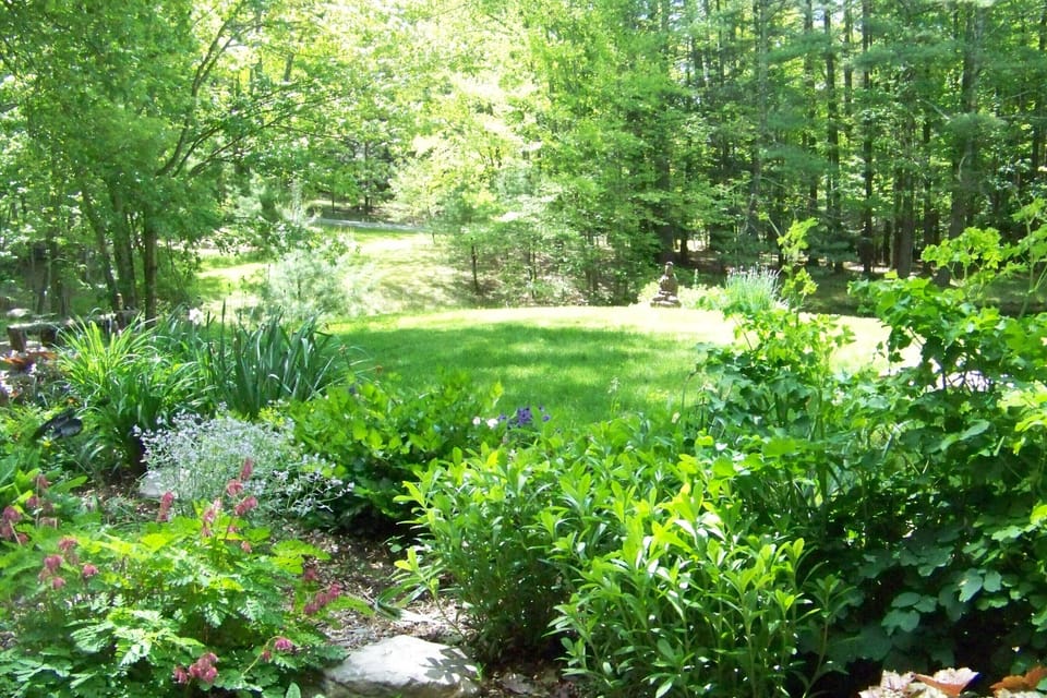 Our garden seen from the porch