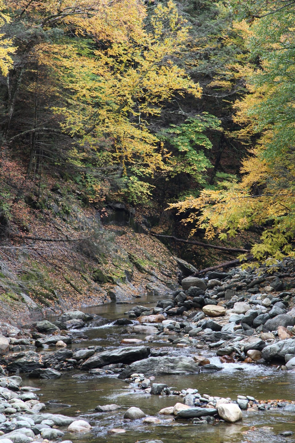 Route 2 exit to Savoy - washed out by hurricane Irene. Great hiking adventure!