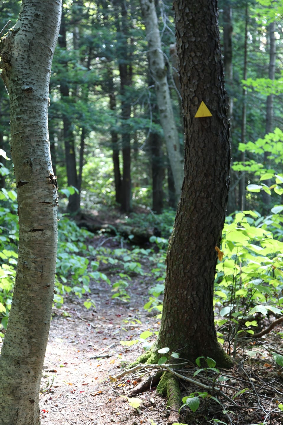 Marked hiking trail on the property