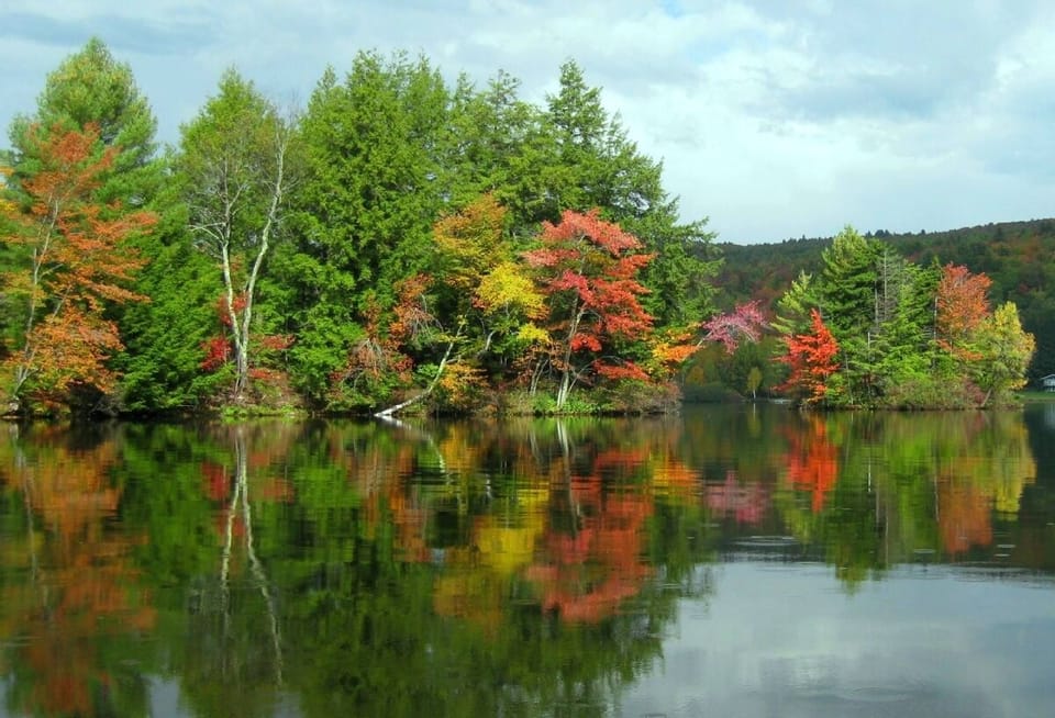 Spectacular fall foliage from our lakefront.
