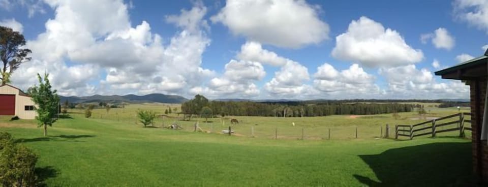 'Pano' view