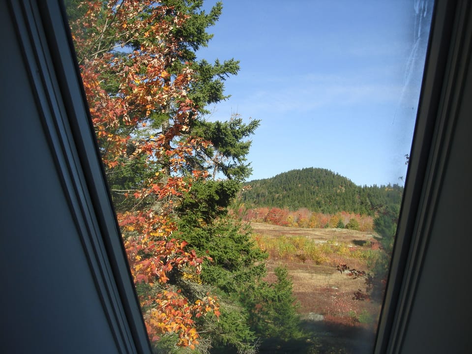 Fall Colors from Skylight