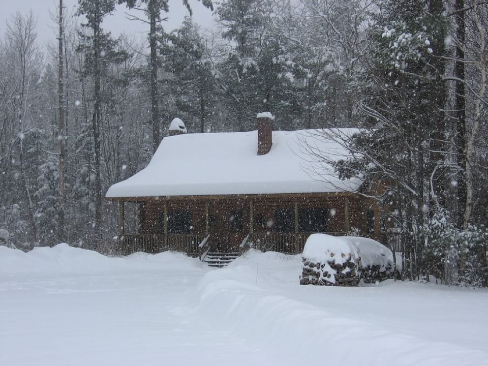 Winter wonderland