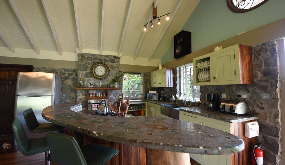 Kitchen with social central cooking area