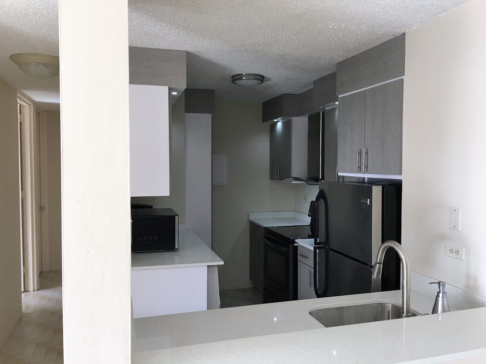 Renovated Kitchen