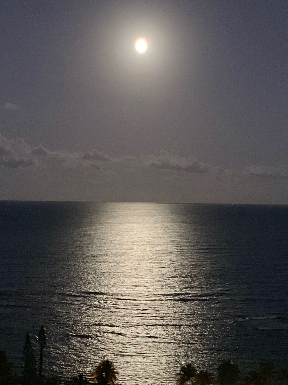 Romantic Moonlight View