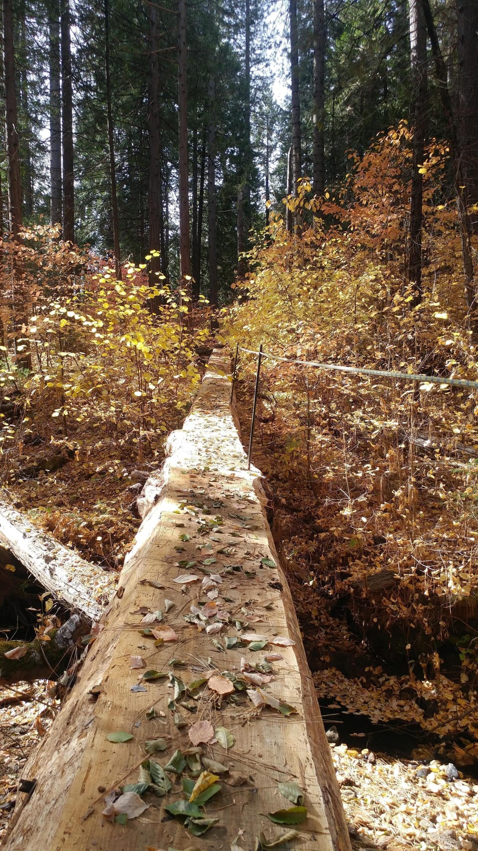 Bridge to the National Forest, great hiking and biking.
