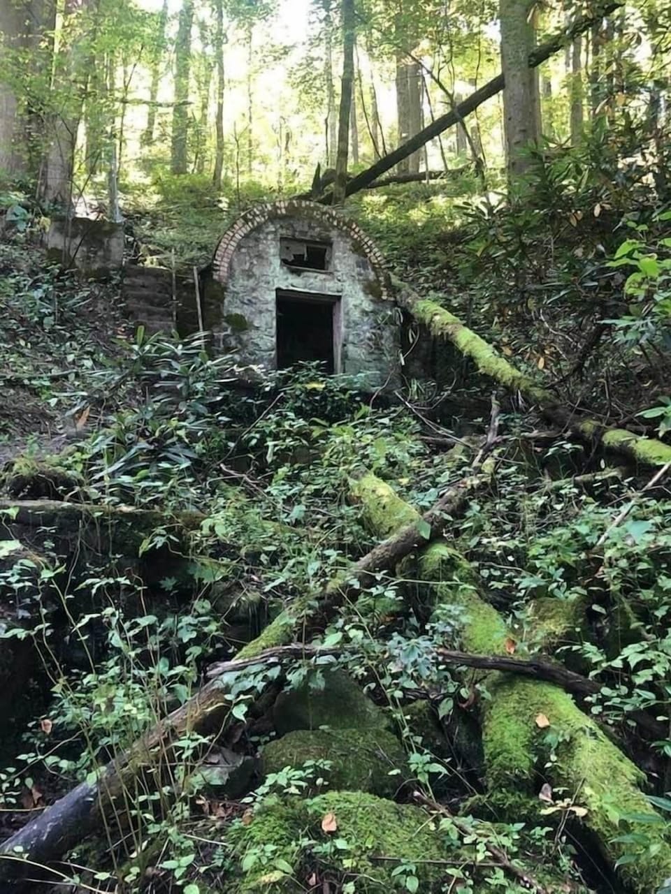Have you visited the "House of Fairies"?  Its a hidden treasure in the Smokies!